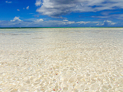 Caribbean Scenery and Fun!-anegada-beach-1-sm.jpg