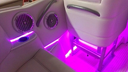 42 tiger info-led-lights-purple.jpg