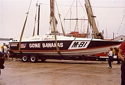 Sonic 31SS-gone-bananas-34-small-.jpg