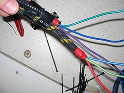 How do I wire trim/tab pumps to term block?-picture-027.jpg