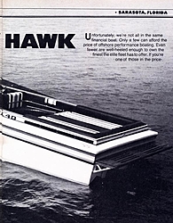 Excalibur HAWK-hawk402.jpg