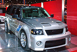 Ford Shelby 2007-gal_shelby1.jpg
