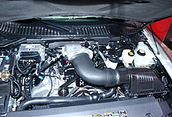 Ford Shelby 2007-gal_shelby5.jpg
