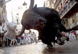 Post you extreme pic's-bull.bmp