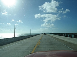 A few more of Key West-img_9133-large-.jpg