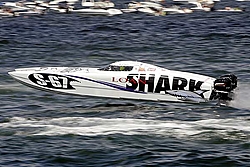 Doug Wright 38 big news TNT custom Marine!-shark.jpg