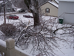 Post Your SNOW Pic's !!!-100_0586-2-.jpg