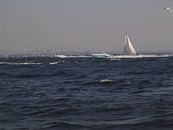 Lake Champlain Milk Run - Saturday June 10th 2006-dsc01038.jpg