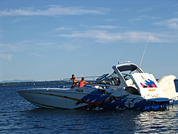 Lake Champlain-tiger-problem.jpg