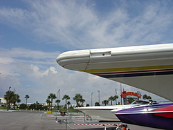 Cutting The Fountain Beak Off-emerald-beach-rob-024.jpg