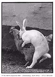 OT:  Where Easter Eggs come from...-eastereggs.jpg