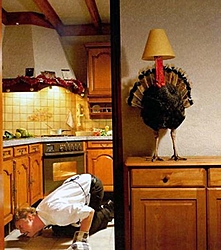 Happy Thanksgiving to all!-hiding-turkey.jpg