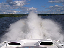 Lake Champlain 2007-rooster-glh.jpg