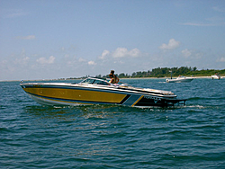 Tampa Bay Pics!!!-cuda%5Cs.jpg