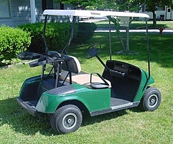 EZ-Go Golf Carts-cart-back-small-.jpeg.jpg