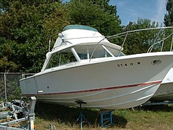 Check out my new boat-bert25-1.jpg