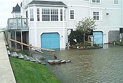 Storm aftermath - Maryland-im000601.jpg