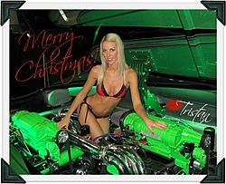 Boater Girl of the Day-xmas2.jpg