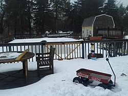 What's in your back yard?-1222131436.jpg