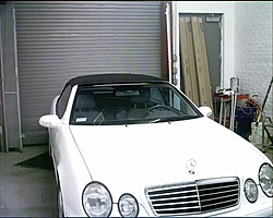 Any Mercedes Dealers Around?-lb010.jpg