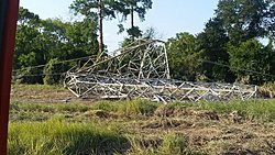 Watch out for water hazards in Texas...-basshole-tower2.jpg