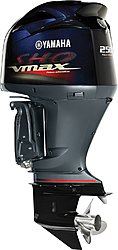 2014 Yamaha VMAX outboard... touch up paint-vmaxv6engine.jpg