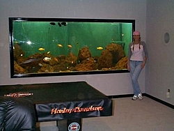 Fish Tanks...Salt or Fresh?-mandy-tank-resize.jpg