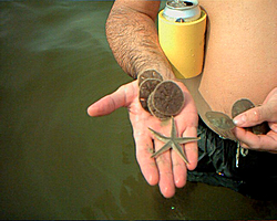 Biloxi Ms,4th July fireworks and Island run-wednesday-august-13-2003-image-7-.jpg