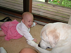 What other dog would let you do this?-2004_0724amanda-reno0004.jpg