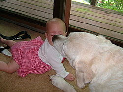 What other dog would let you do this?-2004_0724amanda-reno0006.jpg