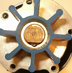 Impeller Question-globe01.jpg