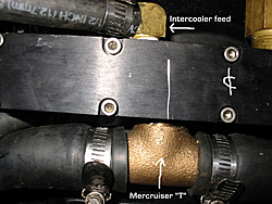 Procharger thermostat question-pcmerct.jpg