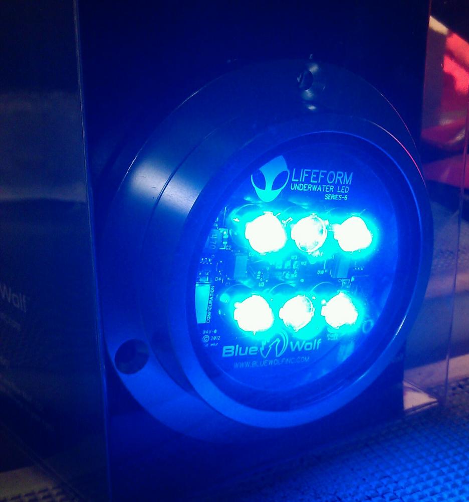 Who Has Red Underwater Leds And Or Red Led Interior Lights