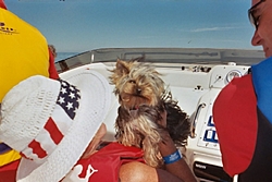 OSO Key West Party-kirby-blowing-wind.jpg-smaller.jpg