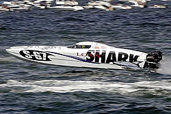 Doug Wright 38/43 TNT Custome Marine!-shark.jpg