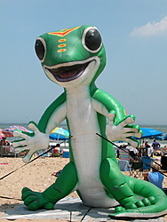 Images from Ocean City this weekend. &lt;Picture thread&gt;-lizard.jpg