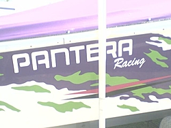 Pantera Sighting... NY-0528081638.jpg