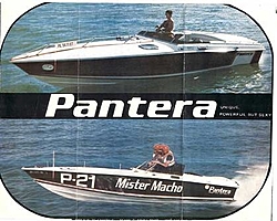 Pantera Pics from the early days-1-pantera-brochure-1975.jpg