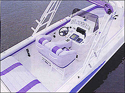 33' Center Console!!-33spfcockpit.jpg