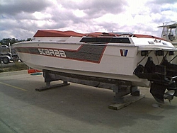 Cheap 30' Panther in Houston area-scarab-panther.jpg