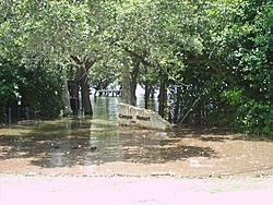 Lake Travis Flood Pics-picture-6.jpg