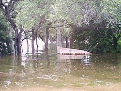 Lake Travis Flood Pics-picture-1.jpg