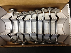 Brodix BR81038 Stainless Exhaust Valves-img_0995.jpg