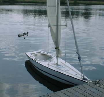 Illusion Mini 12'(SAIL BOATS!) - Offshoreonly.com