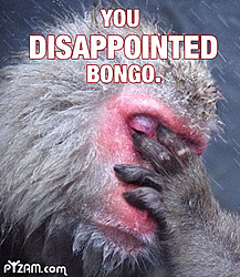 The B.S. Thread-bongo.jpg