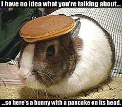 The B.S. Thread-bunny-pancake.jpg