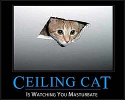 The B.S. Thread-ceiling_cat.jpg