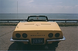 Collector Car Insurance-vette.jpg