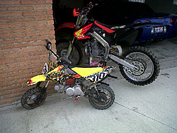 DirtBikes-pit-bike.jpg