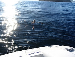 Channel Islands Run &amp; Raft Dec 16th...-img_0750.jpg